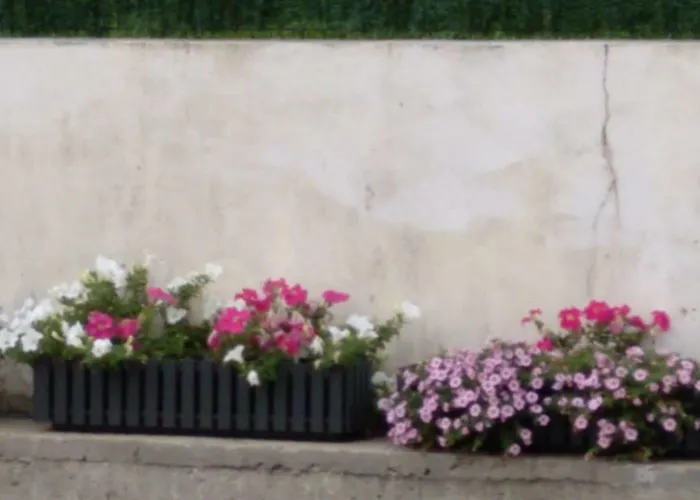 Marinela 아파트 앙다이